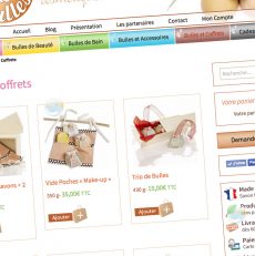 Projet de boutique en ligne : les questions à se poser