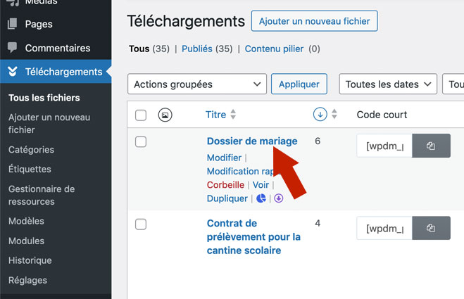 Download Manager : Modifier un fichier