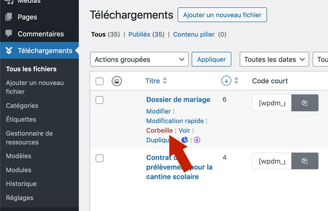 Download Manager : Supprimer un fichier