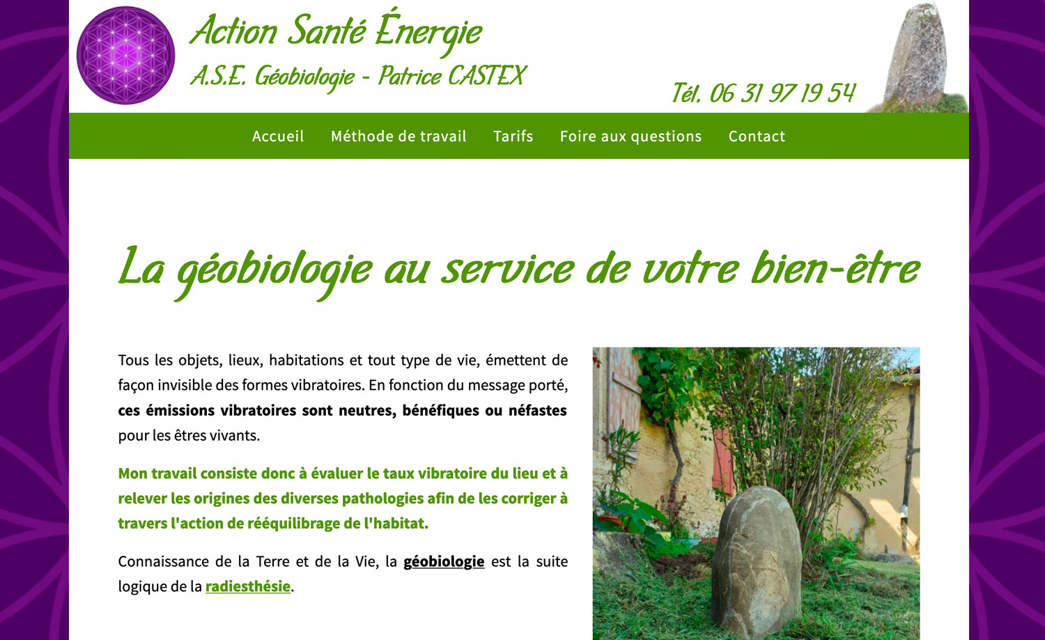 Pack site internet ASE Géobiologie