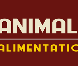 Logo Animalium