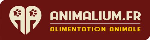 Logo Animalium