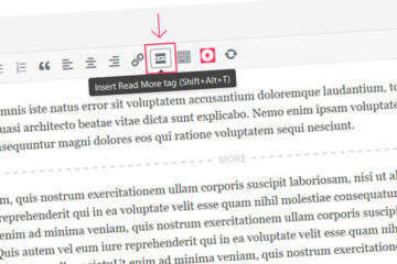 Balise Read More / Lire la suite