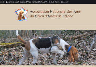 ANACAF, Association Nationale des Amis du Chiens d'Artois de France > chiensdartois.fr